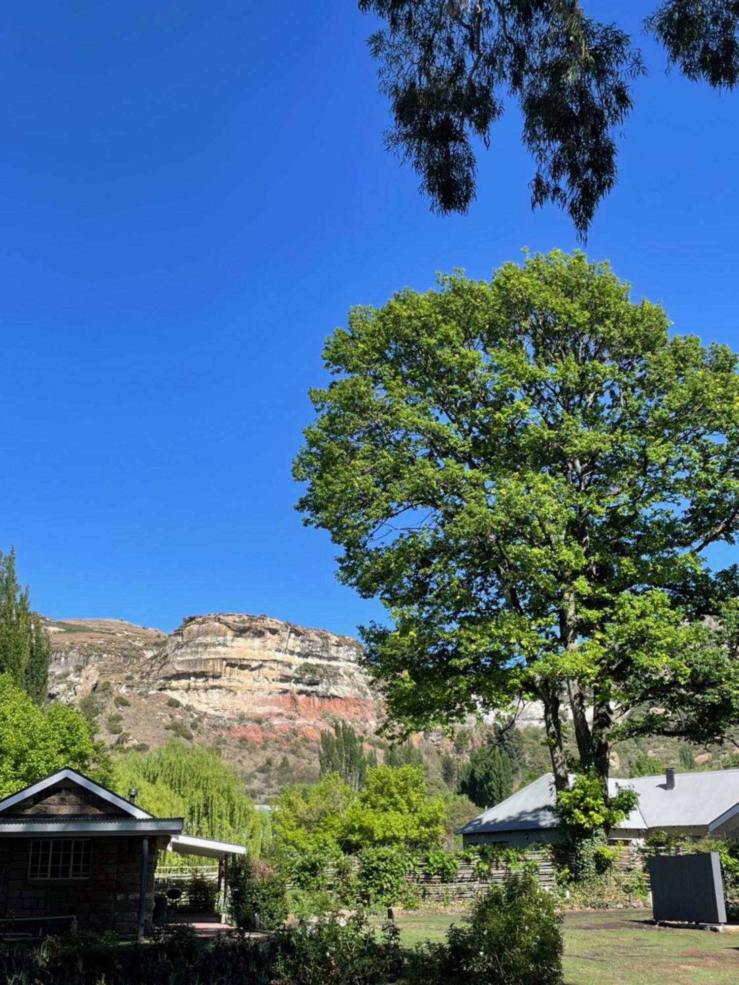 Periwinkle, Grove ,Acorn & Sage Cottages Clarens Exterior photo