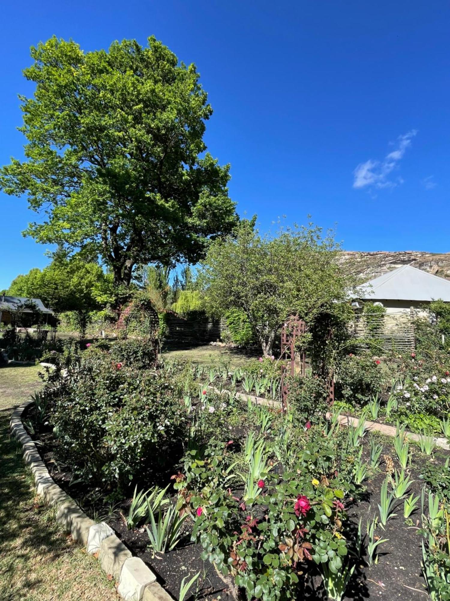 Periwinkle, Grove ,Acorn & Sage Cottages Clarens Exterior photo